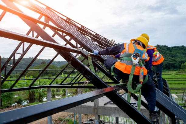 Best Roof Gutter Cleaning  in Magnolia, MS